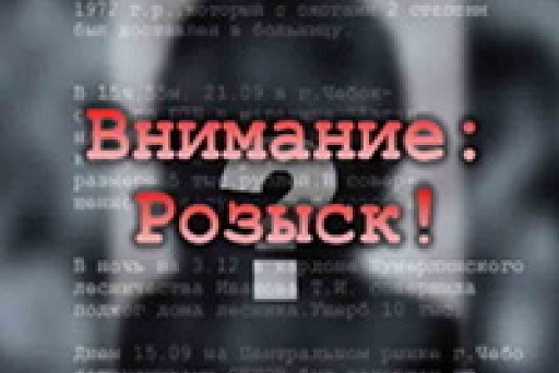 Задержанный в Камышине водитель находился в федеральном розыске