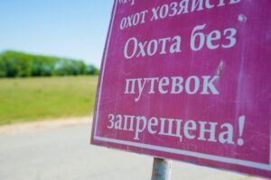 Житель Волгоградской области заплатит за убитого лося