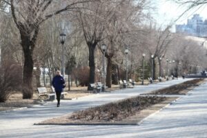 Волгоградским работодателям больше всего нужны продавцы и менеджеры