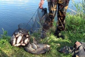 Под Волгоградом 36-летний браконьер выудил с помощью трала 37 раков
