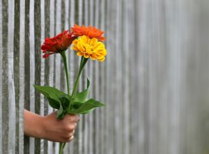 Голову сломал, что ей подарить? 5 небанальных подарков женщинам, у которых есть всё и даже больше