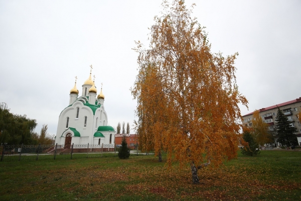 Евлампий Зимоуказатель: как избежать финансовых потерь 23 октября