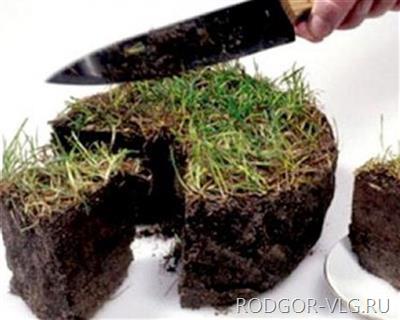 Под Волгоградом экс-сотрудник администрации через мать продавал госземли