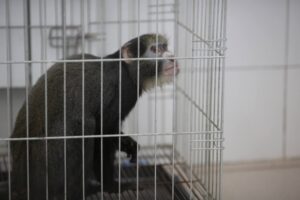 Волгоградский контактный зоопарк должен устранить нарушения