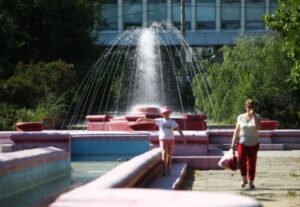 Фонды волгоградских библиотек пополнились почти на 20 тысяч книг