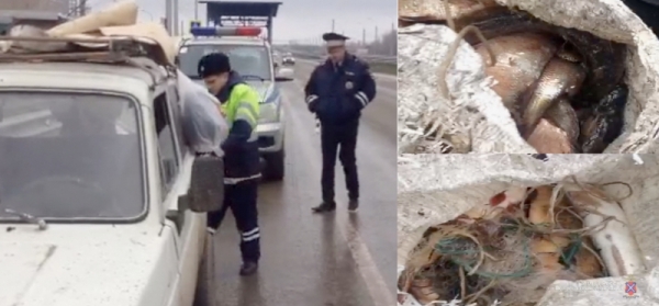 Двух рыбаков-браконьеров задержали под Волгоградом