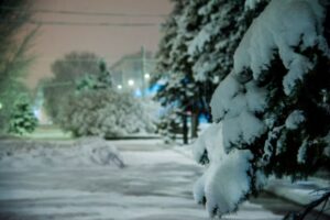 24 января, Федосеев день: какая сегодня погода, такая и весна