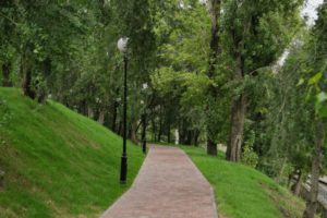 Волгоградцам порекомендовали природные способы борьбы с мошкой