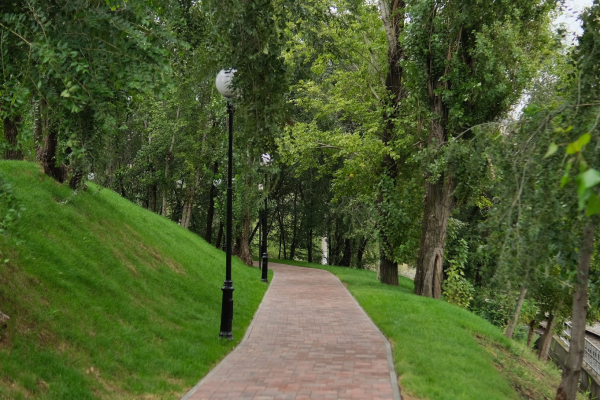 Волгоградцам порекомендовали природные способы борьбы с мошкой