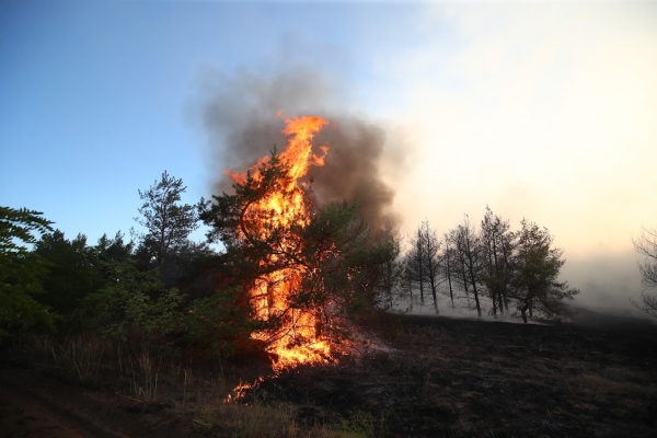 В Волгоградской области сохраняется высокая пожароопасность