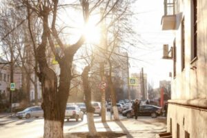 В Волгограде температура поднимется до +3