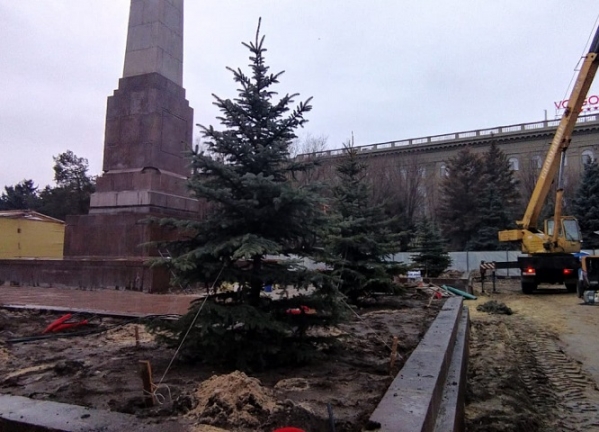 В центре Волгограда у Вечного огня высадили елки