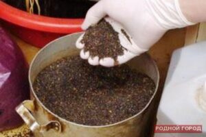 В Волгограде закрыли семейный наркопритон