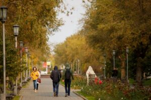 ГУ МЧС по Волгоградской области предупреждает об усилении ветра