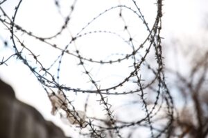 Кооперация способствует трудовой адаптации осужденных в Волгоградской области