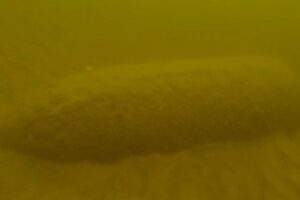 Специалисты обезвредили авиабомбу времен войны под Волгоградом