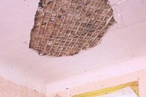 В Волгограде на 6-летнюю девочку обрушился потолок кухни