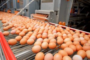 Волгоградцы узнали, какие продукты нельзя греть в микроволновке