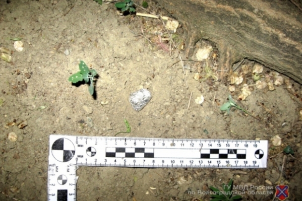 Волгоградке грозит 15 лет за торговлю наркотиками