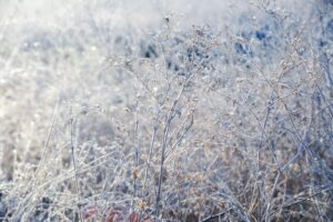 МЧС предупредило волгоградцев о заморозках до -9 градусов