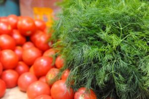 Волгоградцам рассказали, чем полезен укроп