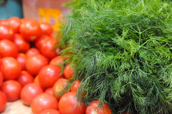 Волгоградцам рассказали, чем полезен укроп