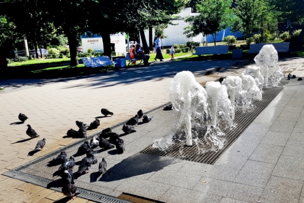 Волгоградцам обещают жару до +38 градусов