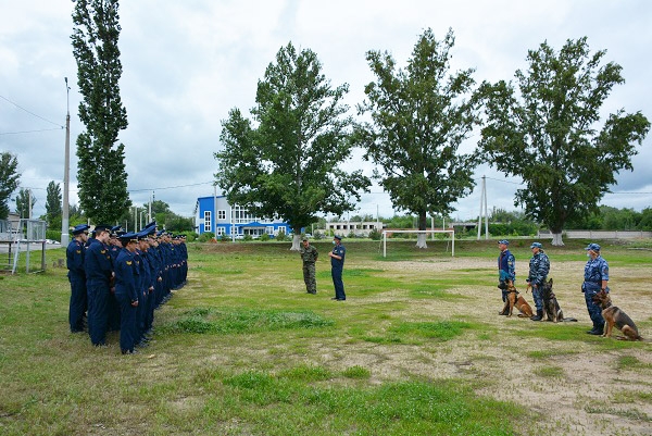 Волгоградские кадеты познакомились со служебными собаками УФСИН