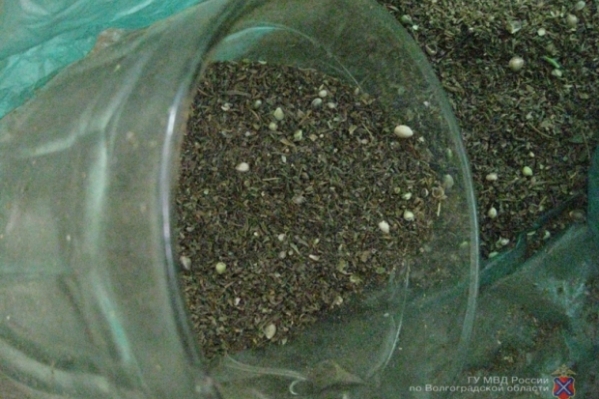 Волжанин перевозил марихуану в автобусе