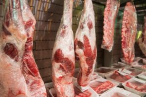Волгоградские росгвардейцы задержали похитителя мяса