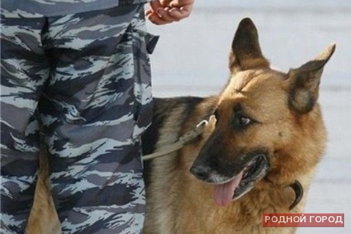 В одной из школ Дзержинского района Волгограда искали взрывчатку
