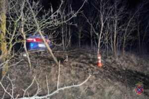 В Волгоградской области легковушка вылетела в кювет и врезалась в дерево