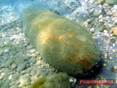 В Волгоградской области дайвер нашел мину