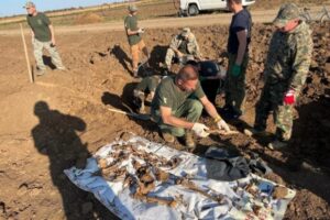 Под Волгоградом поисковый отряд прокуратуры обнаружил останки 17 погибших бойцов