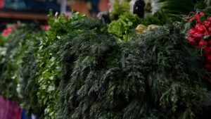 Здоровое питание: специалисты рассказали о полезных свойствах руколы