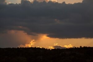 МЧС предупреждает волгоградцев о шквалистом ветре до 28 м/с