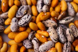 Обязательно приготовить: 5 продуктов, которые в сыром виде употреблять запрещено!