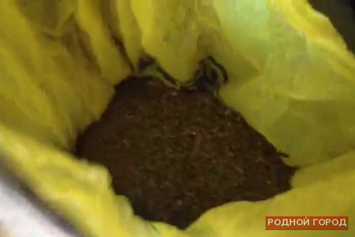 Возле завода «Каустик» в Волгограде задержали сбытчиков марихуаны