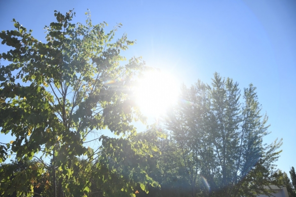 15 мая синоптики обещают волгоградцам летнюю погоду