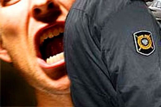 В Урюпинске пьяный водитель покусал инспектора ДПС