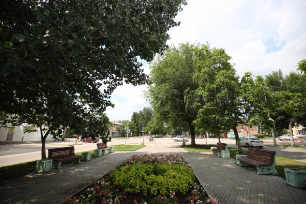 Сильная жара до +41 ℃ обрушится на Волгоградскую область