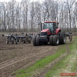 В поле нашли завернутое в полиэтилен тело 25-летней женщины