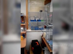 Волгоградец выращивал на съемной квартире галлюциногенные грибы