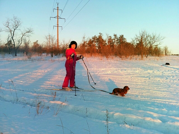В Волгограде появился кинологический биатлон