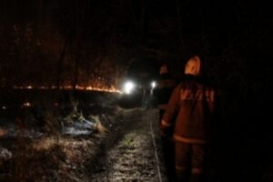 В Серафимовичском районе ликвидируют природный пожар на 23 га