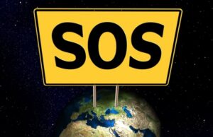 5 советов, которые однажды помогут вам выжить