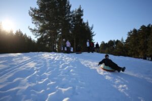 В Волгоградскую область 25 декабря ждут туман и гололед при -23°С