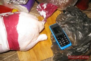 В Камышинской колонии отец пытался передать сыну телефон в курице