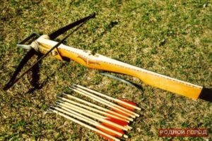 Волгоградка сядет на 8 лет за убийство из арбалета мужа-бизнесмена