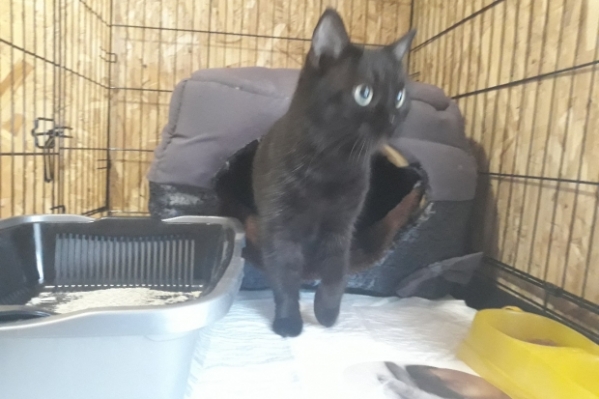 Малышка Ева из Волгограда ищет дом